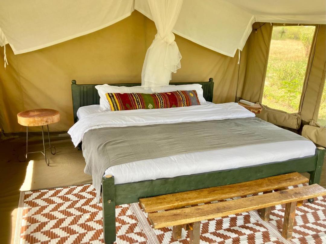 Kambu Mara Camp Hotell Sekenani Rum bild